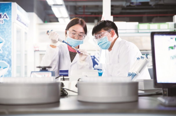 “創新飛輪”轉出發展動能