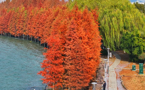 http://www.sdleiqi.cn/szgyyq/jsdt/202502/4d9d20e72c7d425cada95f797a1e160f/images/98a21992ddb44b309b353f6216cb0598.png